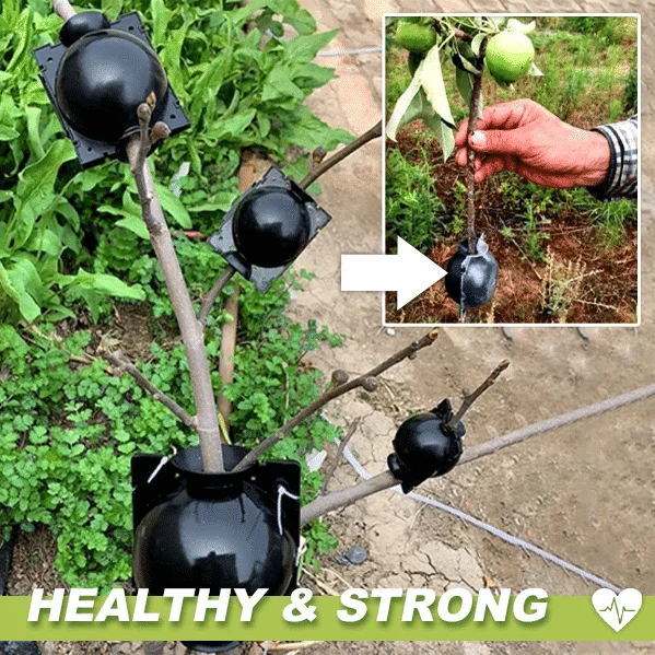 Кутии за растения за въздушно наслояване 3 бр - Image 2