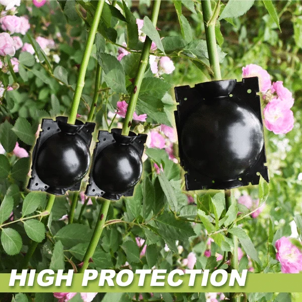 Кутии за растения за въздушно наслояване 3 бр - Image 3